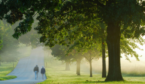 Two people walking down a nature path